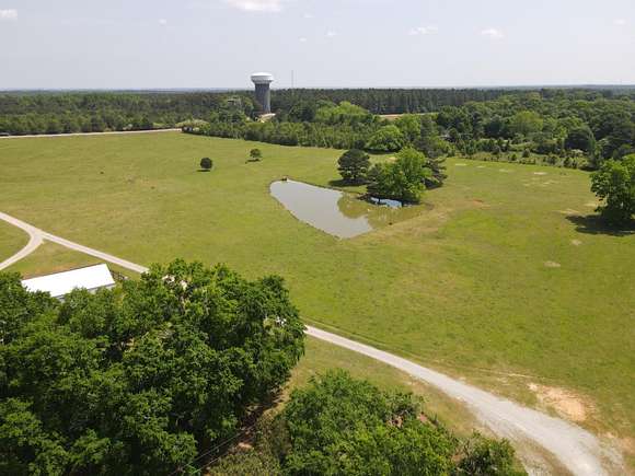 65.3 Acres of Recreational Land for Sale in Hampton, Georgia