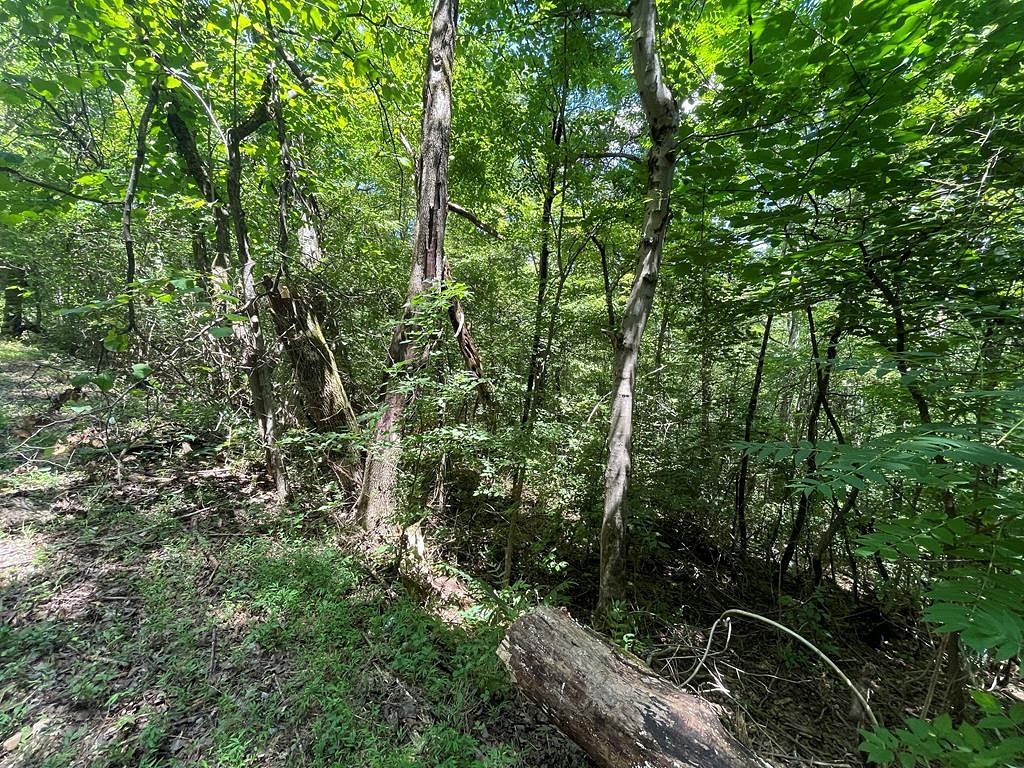 0.66 Acres of Residential Land for Sale in Newport, Tennessee
