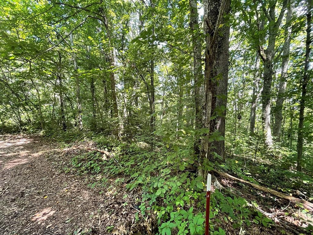 0.94 Acres of Residential Land for Sale in Newport, Tennessee