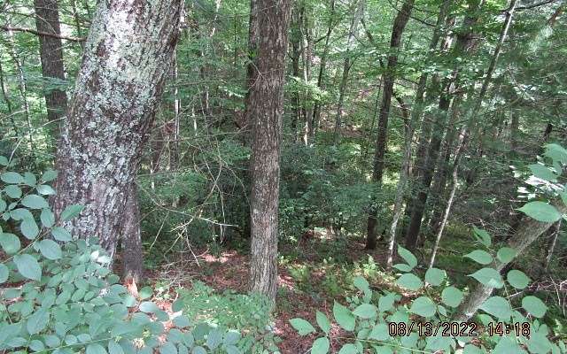 1.2 Acres of Land for Sale in Murphy, North Carolina