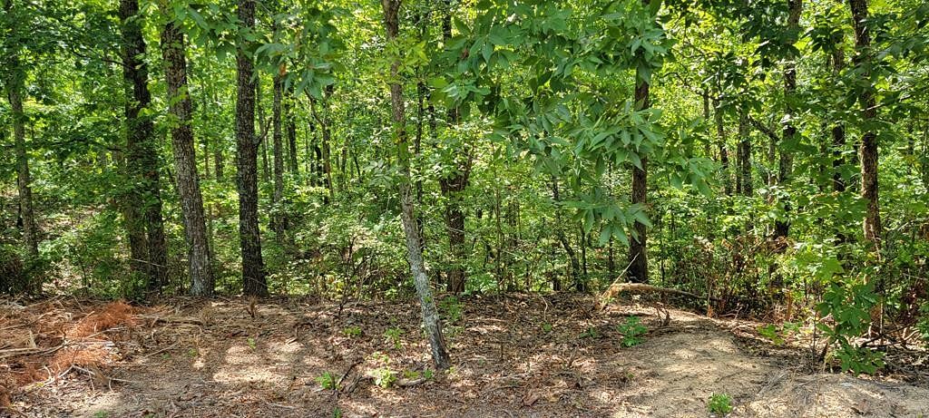 0.32 Acres of Residential Land for Sale in Holladay, Tennessee