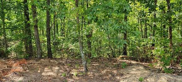 0.32 Acres of Residential Land for Sale in Holladay, Tennessee