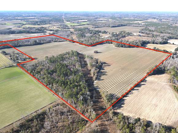 98.5 Acres of Recreational Land & Farm for Sale in Cottondale, Florida
