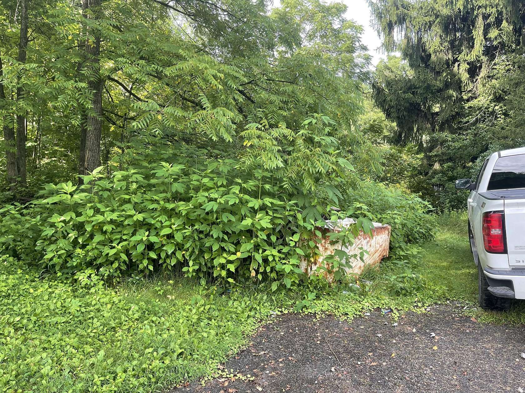 0.25 Acres of Land for Sale in Clear Creek, West Virginia