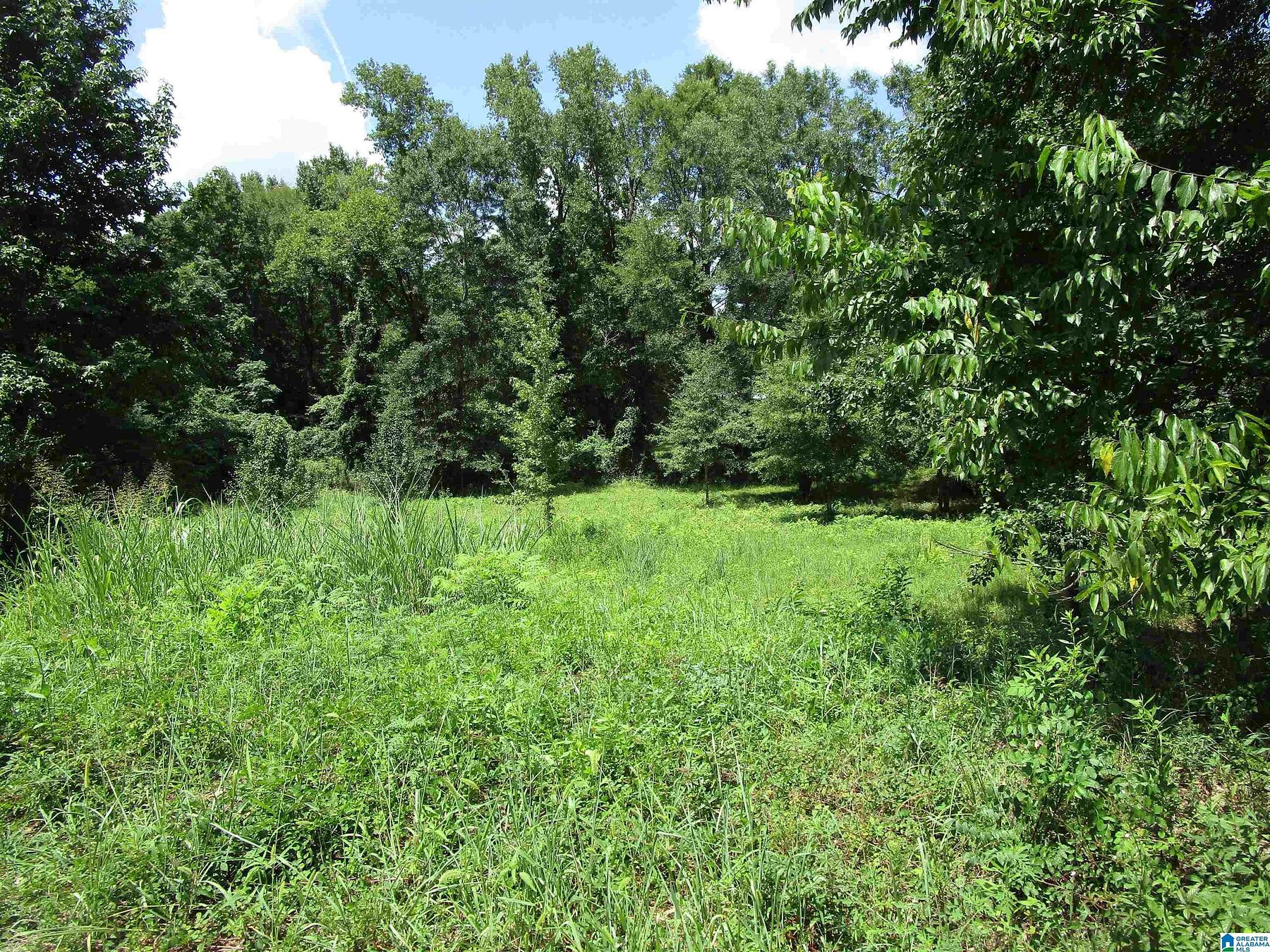 1 Acre of Residential Land for Sale in Bessemer, Alabama