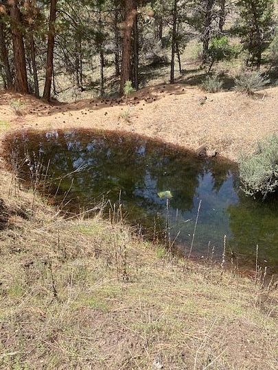 320 Acres of Recreational Land & Farm for Sale in Prineville, Oregon