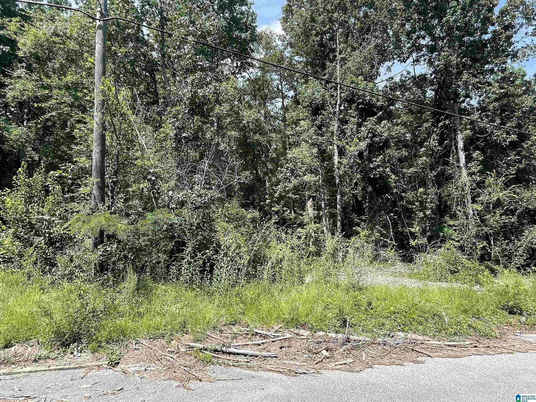 0.5 Acres of Land for Sale in Wilsonville, Alabama