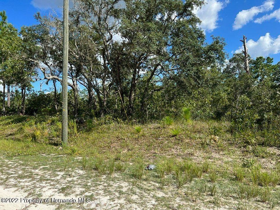 1.2 Acres of Residential Land for Sale in Weeki Wachee, Florida