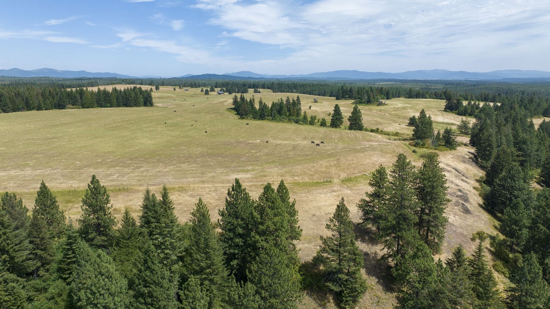 22.1 Acres of Recreational Land & Farm for Sale in Weippe, Idaho