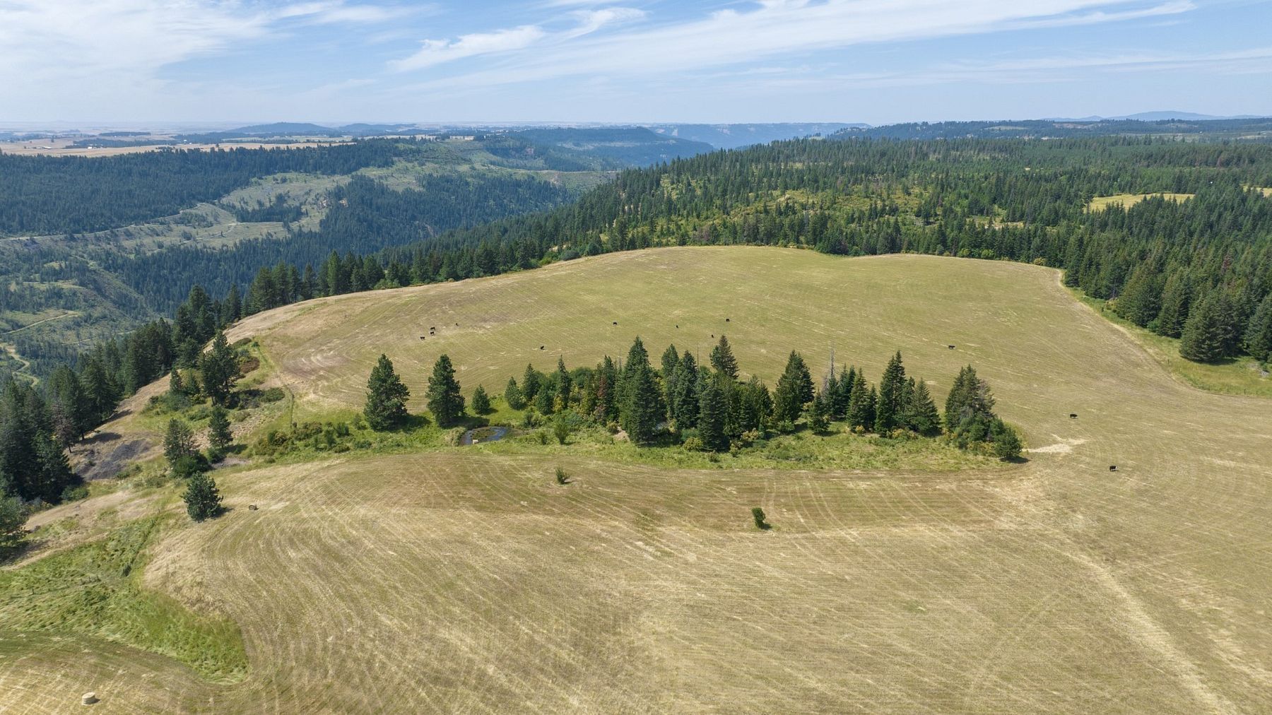22.1 Acres of Recreational Land & Farm for Sale in Weippe, Idaho