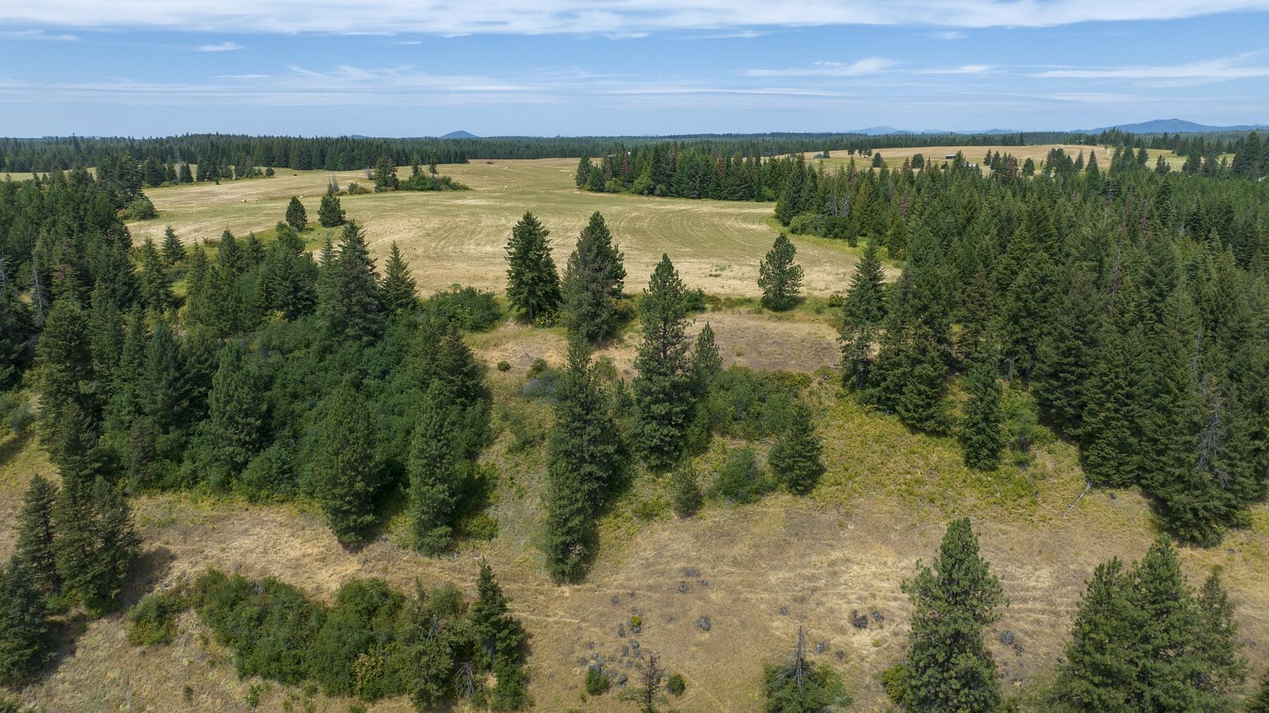 22 Acres of Recreational Land & Farm for Sale in Weippe, Idaho