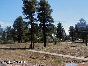 0.51 Acres of Commercial Land for Sale in Overgaard, Arizona