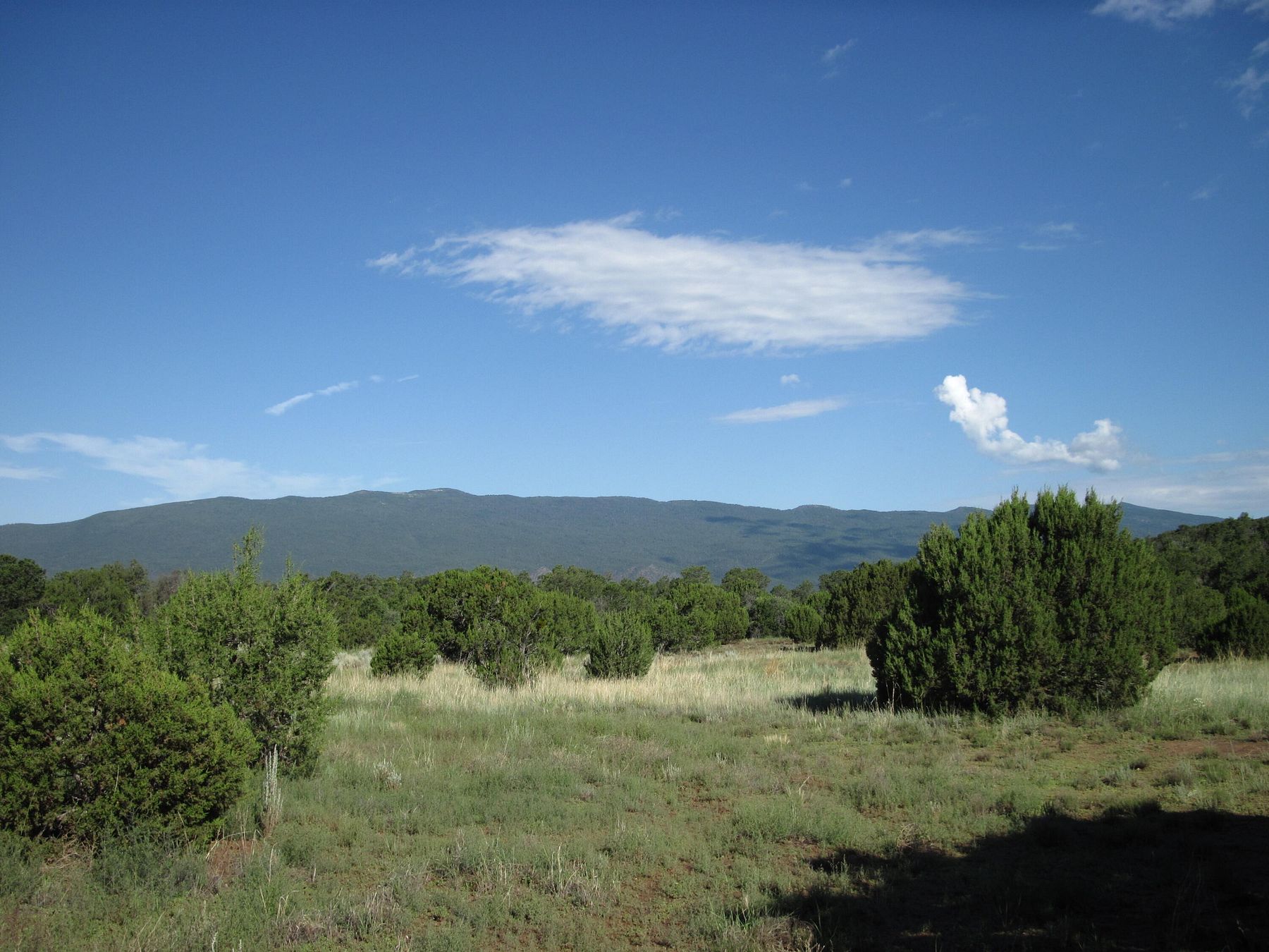 22.5 Acres of Recreational Land for Sale in Tijeras, New Mexico
