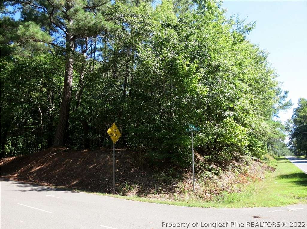 4.5 Acres of Improved Commercial Land for Sale in Moncure, North Carolina