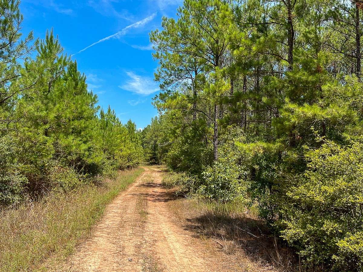 451 Acres of Recreational Land for Sale in Huntsville, Texas