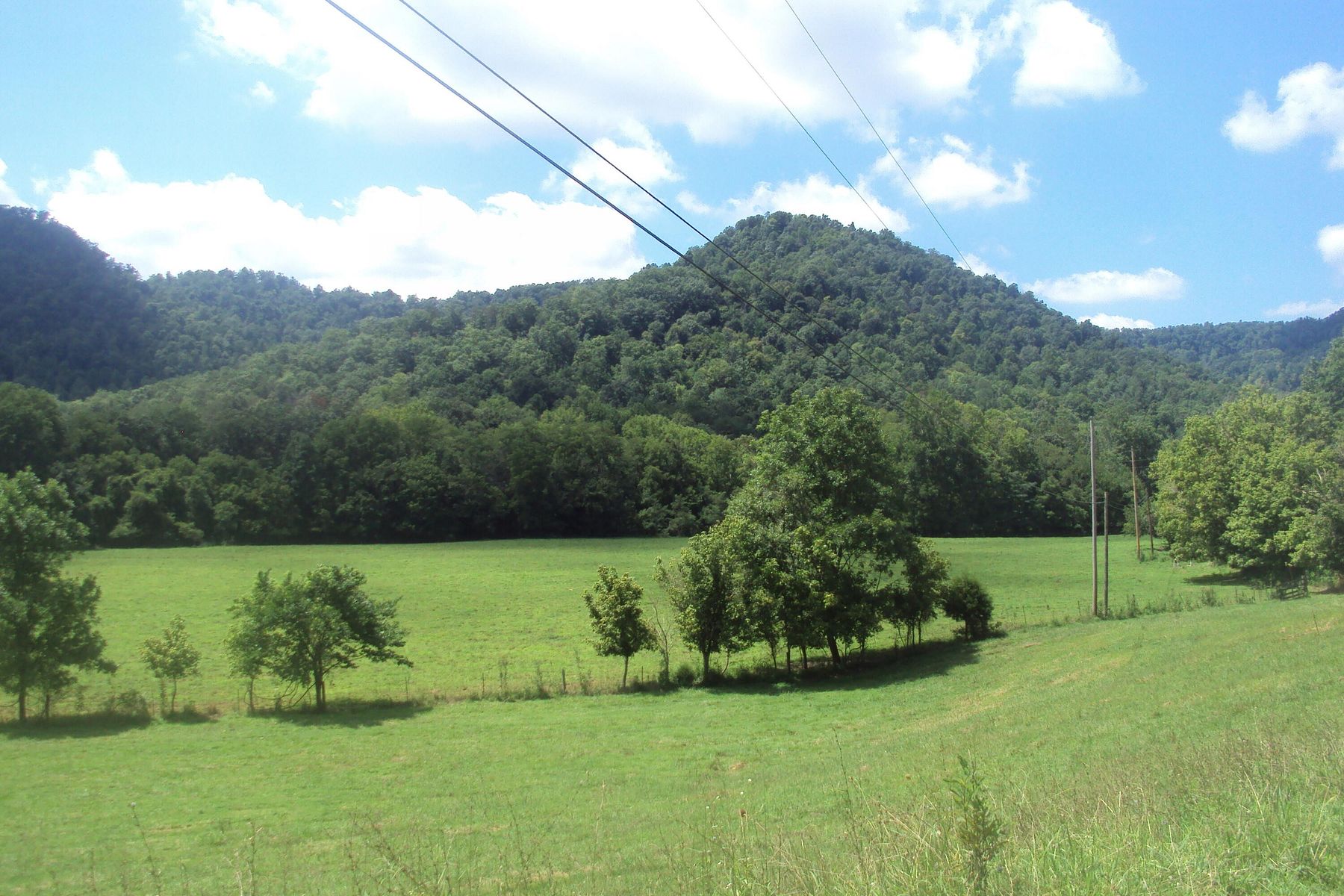 120 Acres of Recreational Land & Farm for Sale in Irvine, Kentucky