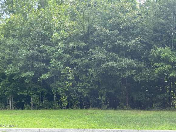 0.2 Acres of Residential Land for Sale in Harriman, Tennessee
