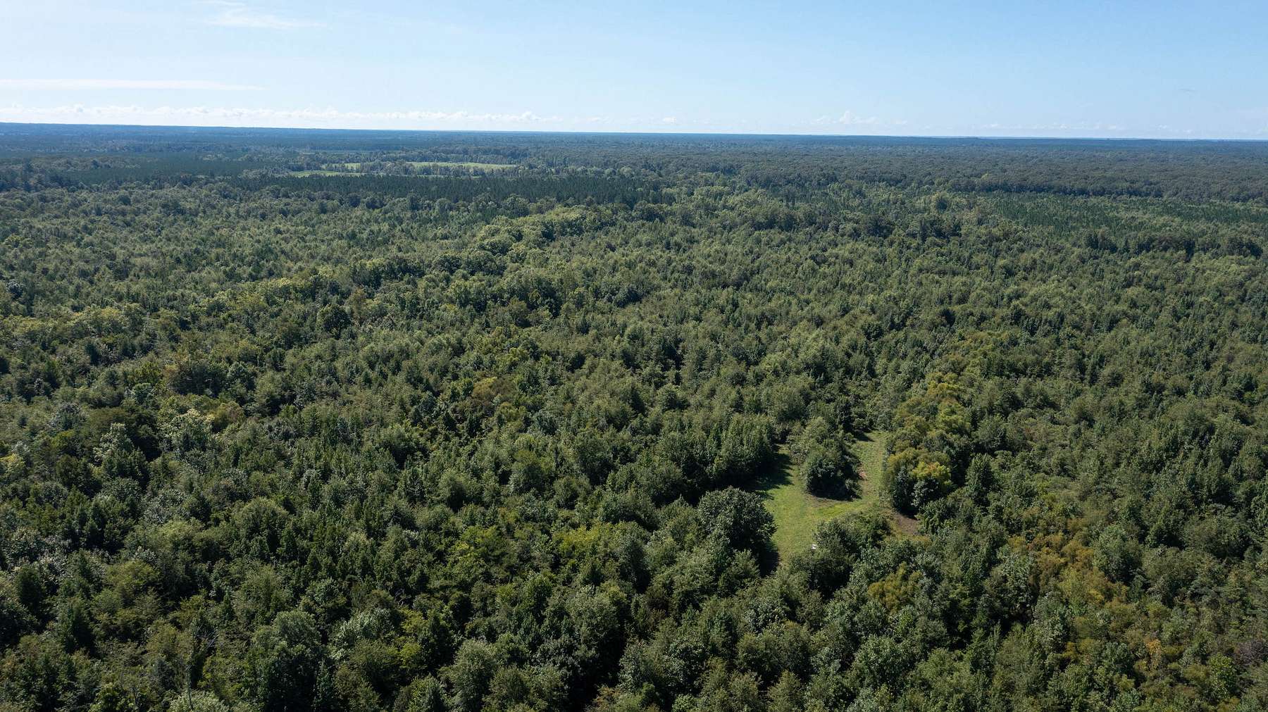 600 Acres of Recreational Land for Sale in Rhine, Georgia