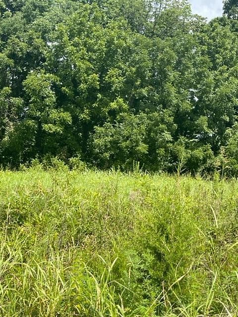 0.48 Acres of Residential Land for Sale in Campbellsville, Kentucky