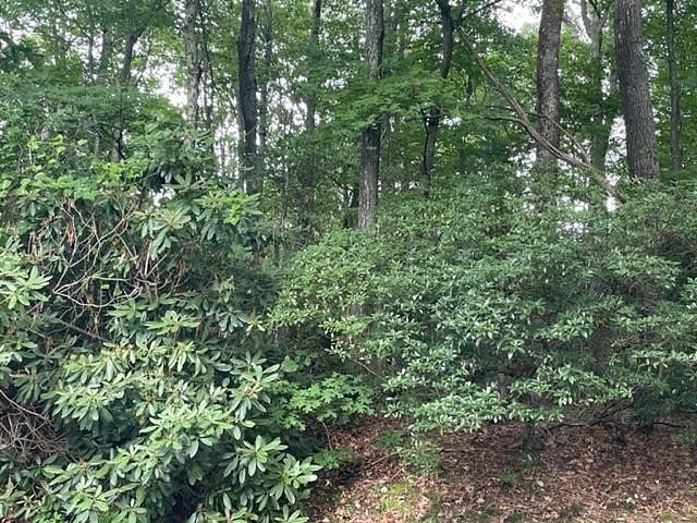0.33 Acres of Residential Land for Sale in Hillsville, Virginia