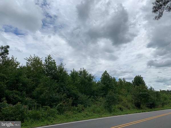 11.3 Acres of Land for Sale in Mineral, Virginia