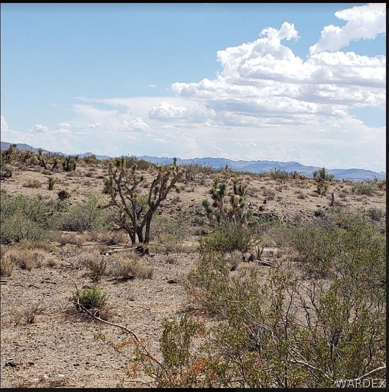 1.1 Acres of Land for Sale in Dolan Springs, Arizona