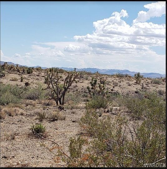 1 Acre of Land for Sale in Dolan Springs, Arizona