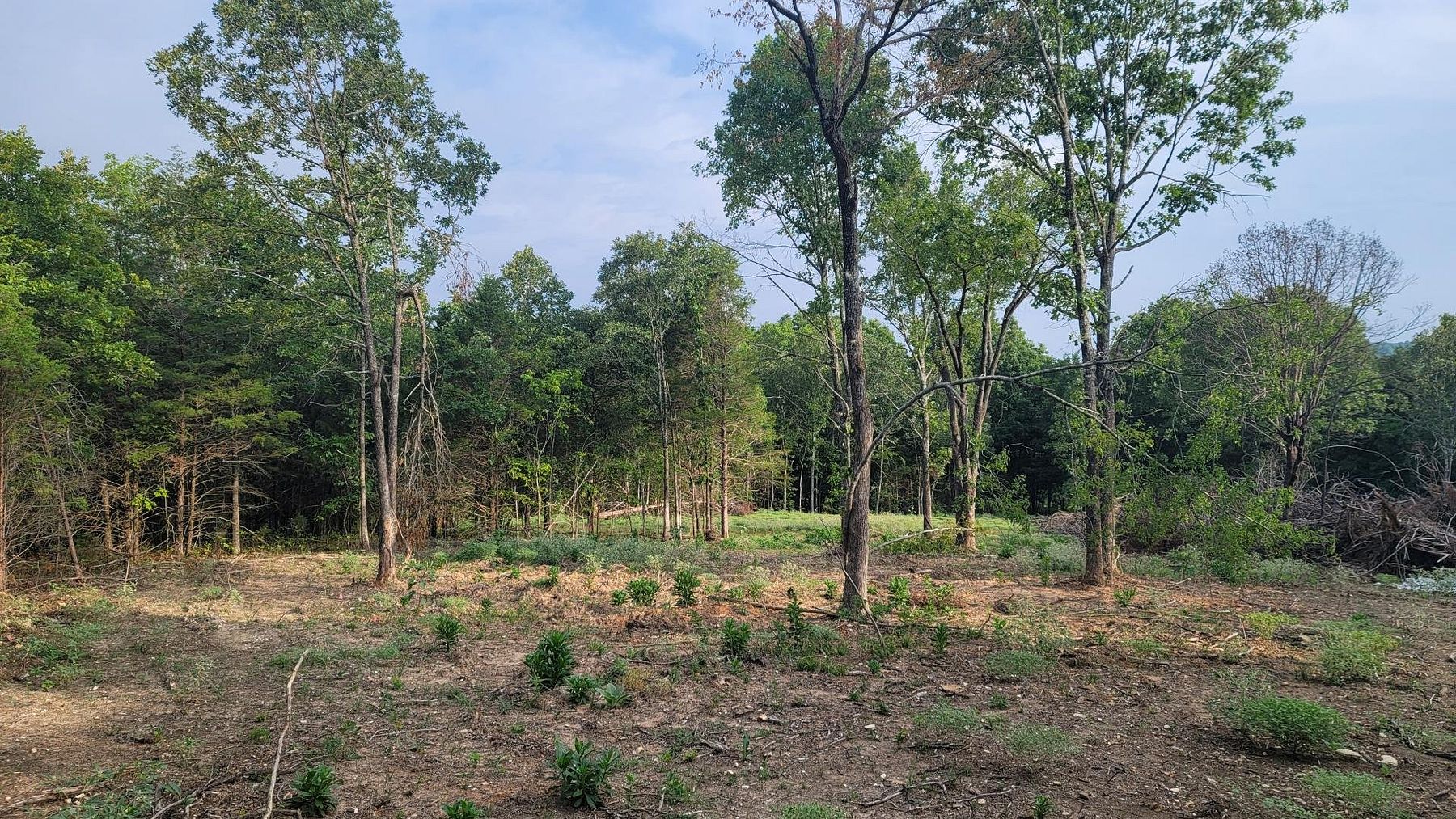 5 Acres of Recreational Land for Sale in Harrison, Arkansas