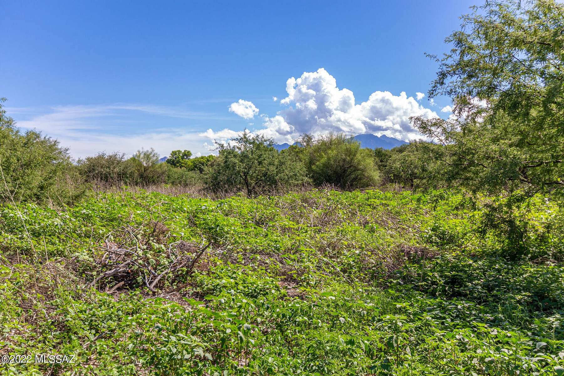 1.1 Acres of Residential Land for Sale in Tubac, Arizona