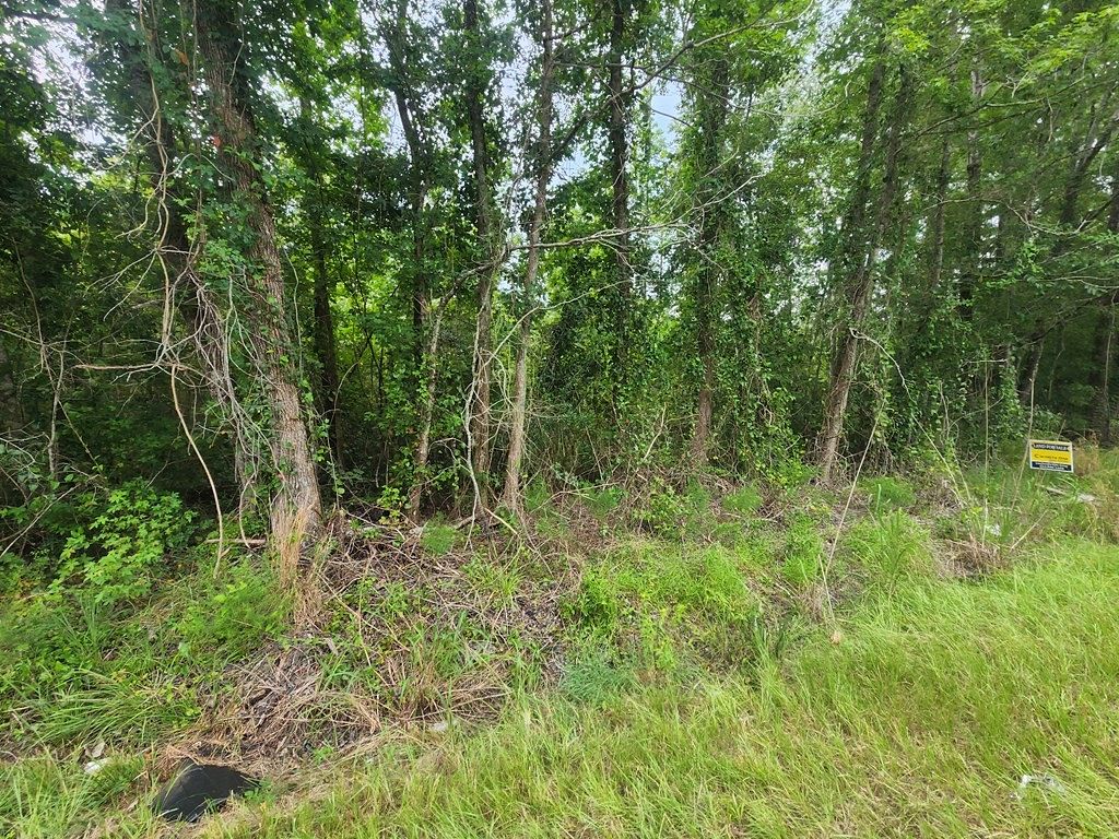 5.9 Acres of Residential Land for Sale in Branchville, South Carolina ...