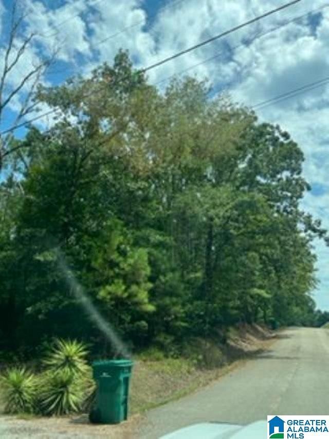 1 Acre of Land for Sale in Vance, Alabama