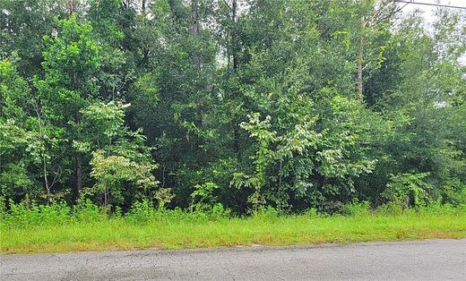 2.5 Acres of Residential Land for Sale in Dade City, Florida