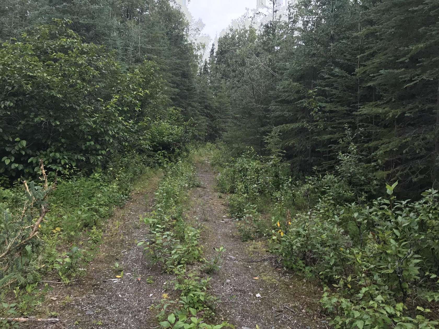 1 Acre of Land for Sale in Nikiski, Alaska LandSearch