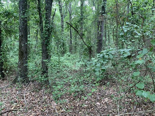 9.4 Acres of Recreational Land for Sale in Searcy, Arkansas