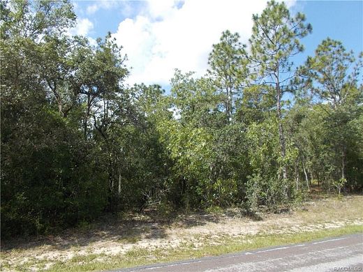 1 Acre of Residential Land for Sale in Hernando, Florida