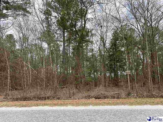 1 Acre of Residential Land for Sale in Lamar, South Carolina