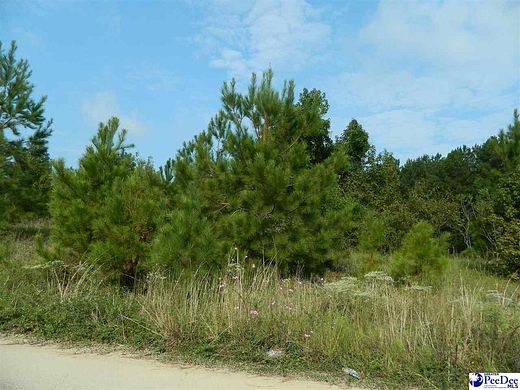 0.27 Acres of Residential Land for Sale in Florence, South Carolina