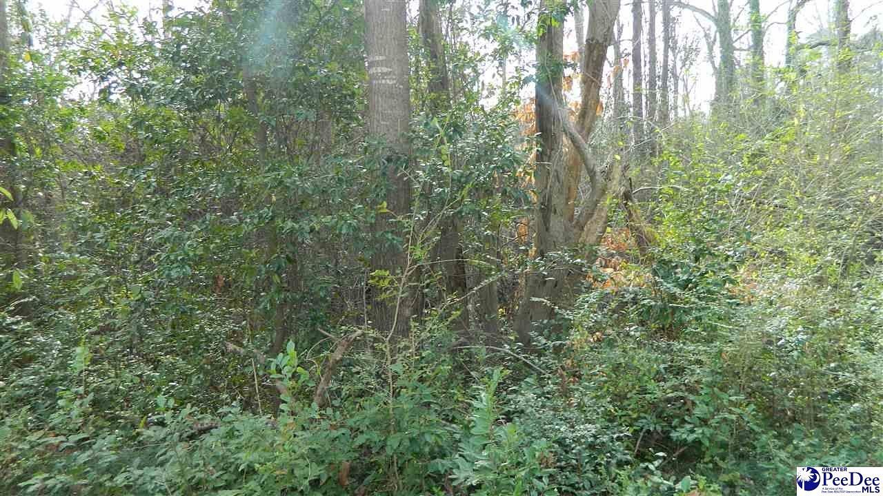 0.47 Acres of Residential Land for Sale in Florence, South Carolina