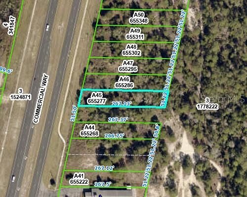 0.3 Acres of Commercial Land for Sale in Weeki Wachee, Florida
