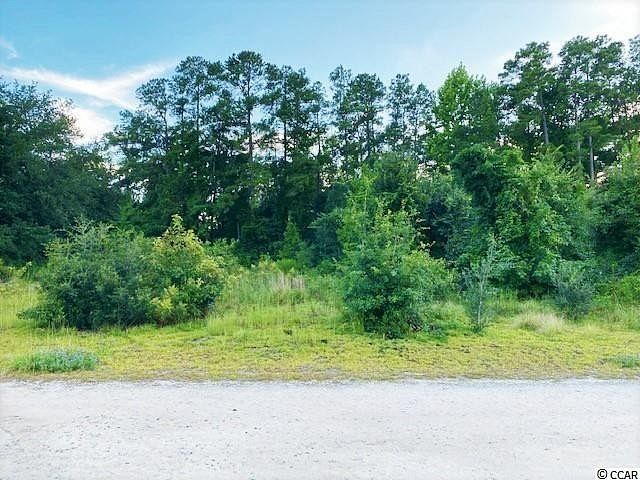 0.6 Acres of Residential Land for Sale in Dillon, South Carolina