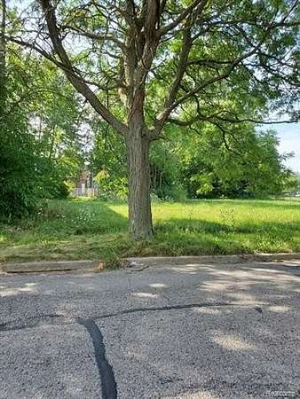 0.08 Acres of Residential Land for Sale in Detroit, Michigan