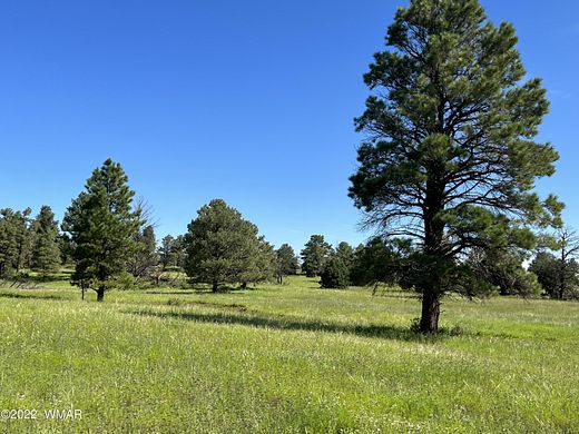40.9 Acres of Recreational Land for Sale in Greer, Arizona