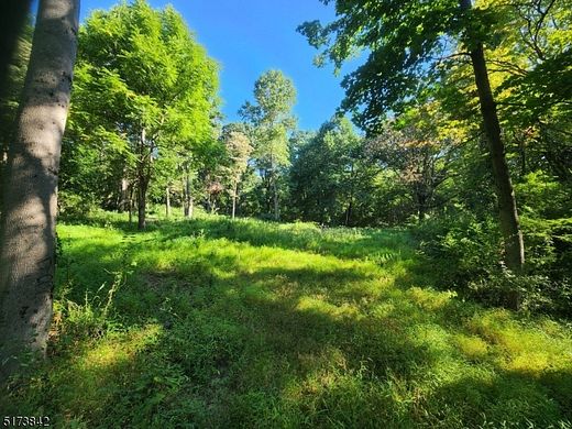 15 Acres of Land for Sale in Washington Township, New Jersey