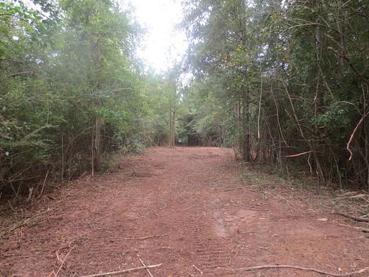 42 Acres of Recreational Land for Sale in Columbia, Mississippi