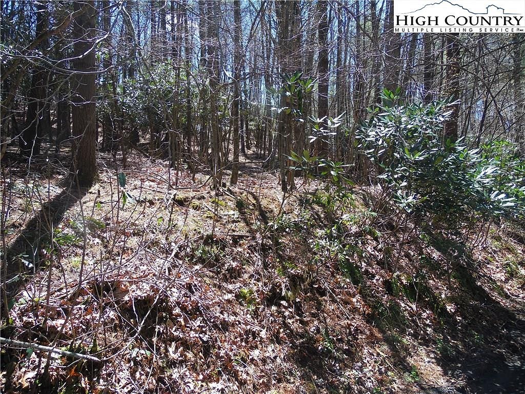 1 Acre of Residential Land for Sale in Fleetwood, North Carolina