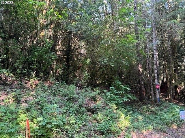 49 Acres of Land for Sale in Vernonia, Oregon