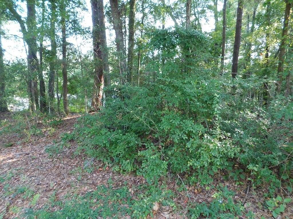 0.45 Acres of Residential Land for Sale in Ozark, Alabama