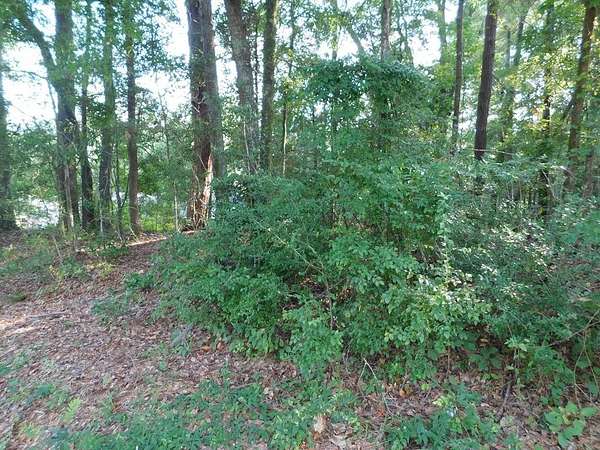 0.45 Acres of Residential Land for Sale in Ozark, Alabama