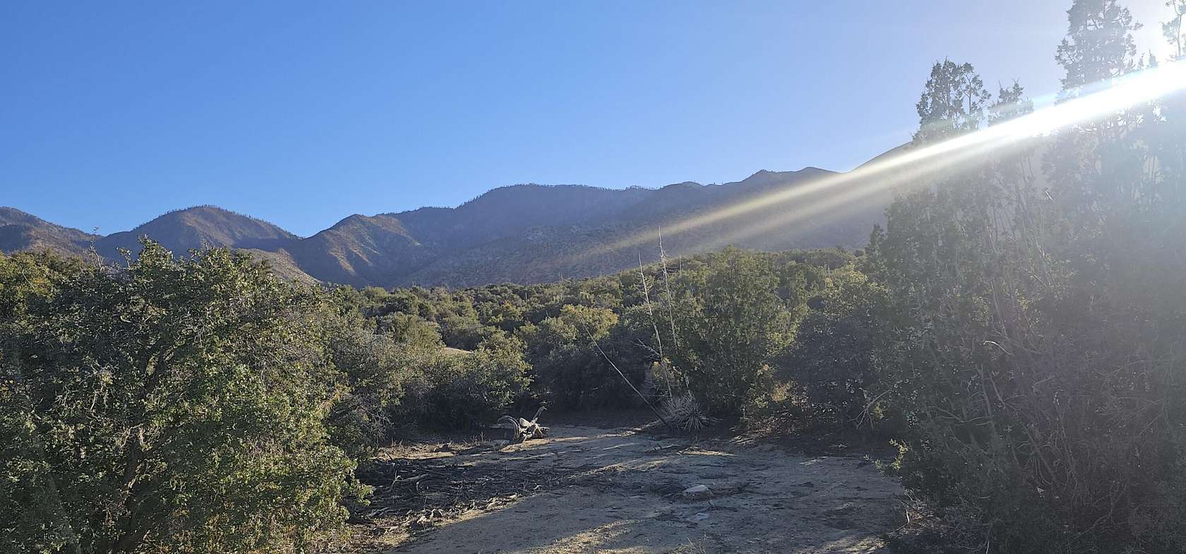2.5 Acres of Land for Sale in Juniper Hills, California