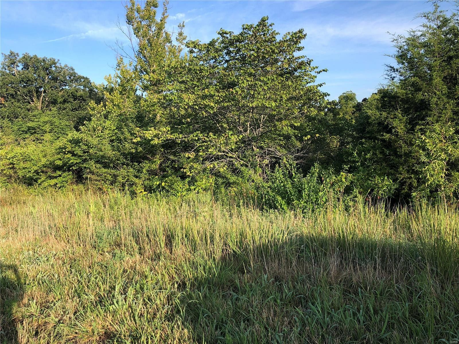 1 Acre of Residential Land for Sale in Dittmer, Missouri